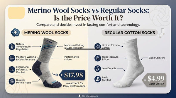 Merino Wool Socks vs Regular Socks: Is the Price Worth It?