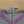 Step 1: Climatesox.com E-Zmate Women's Merino Wool Crew Socks side by side showing the wearing status with linking loops at the cuff before connecting