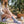 Lifestyle (woman outdoors, putting on sock) → 